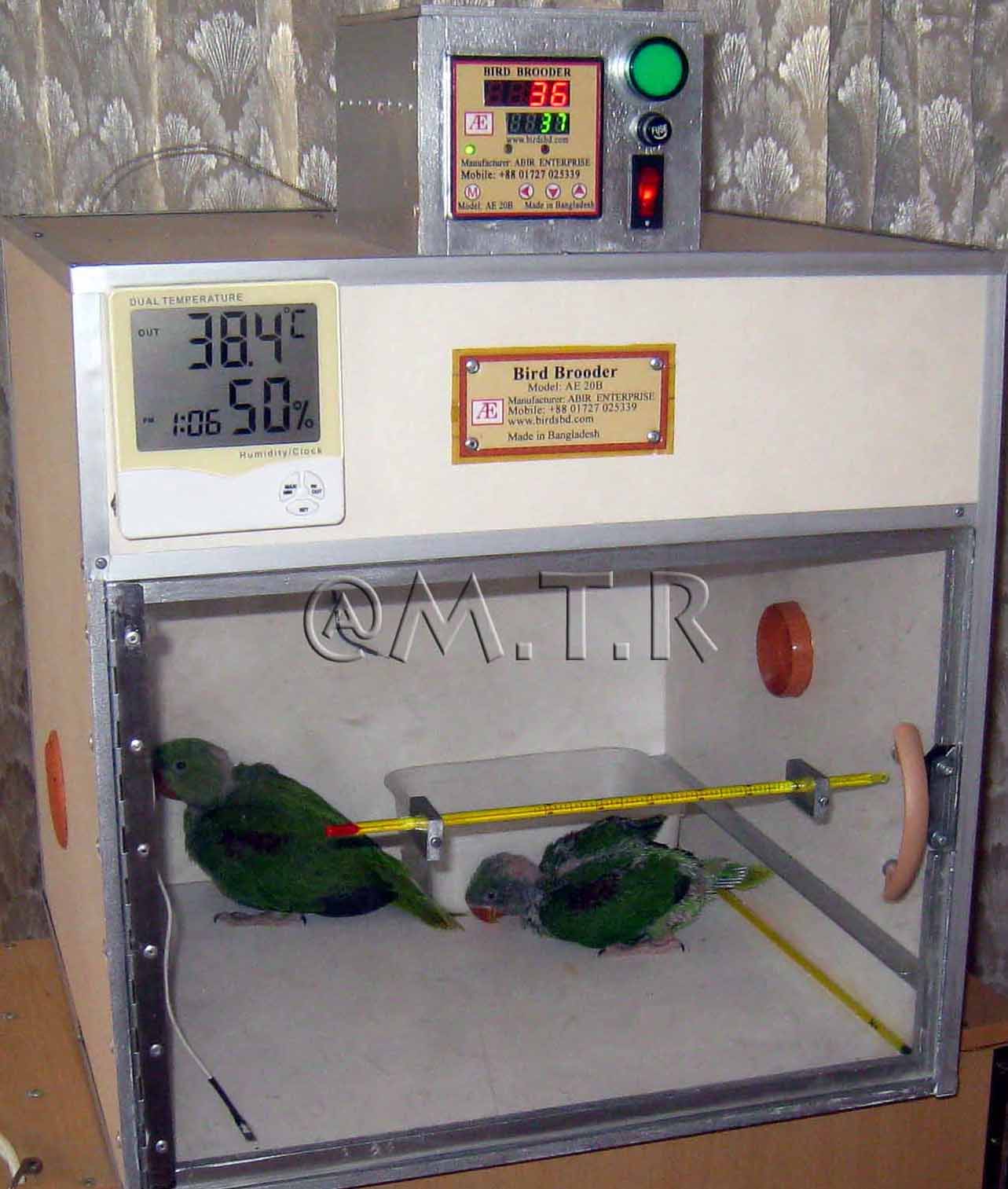 Digital Bird Brooder Model AE 20B large image 0